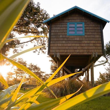 Tui Ridge Eco Cabins Aongatete Esterno foto