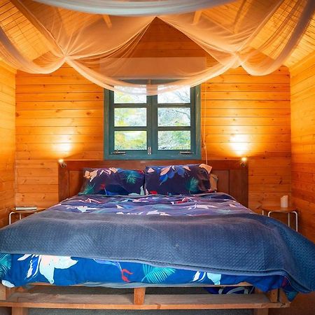 Tui Ridge Eco Cabins Aongatete Esterno foto