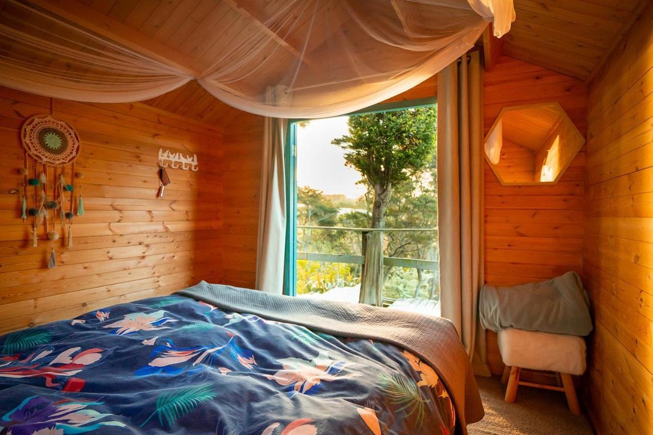 Tui Ridge Eco Cabins Aongatete Esterno foto