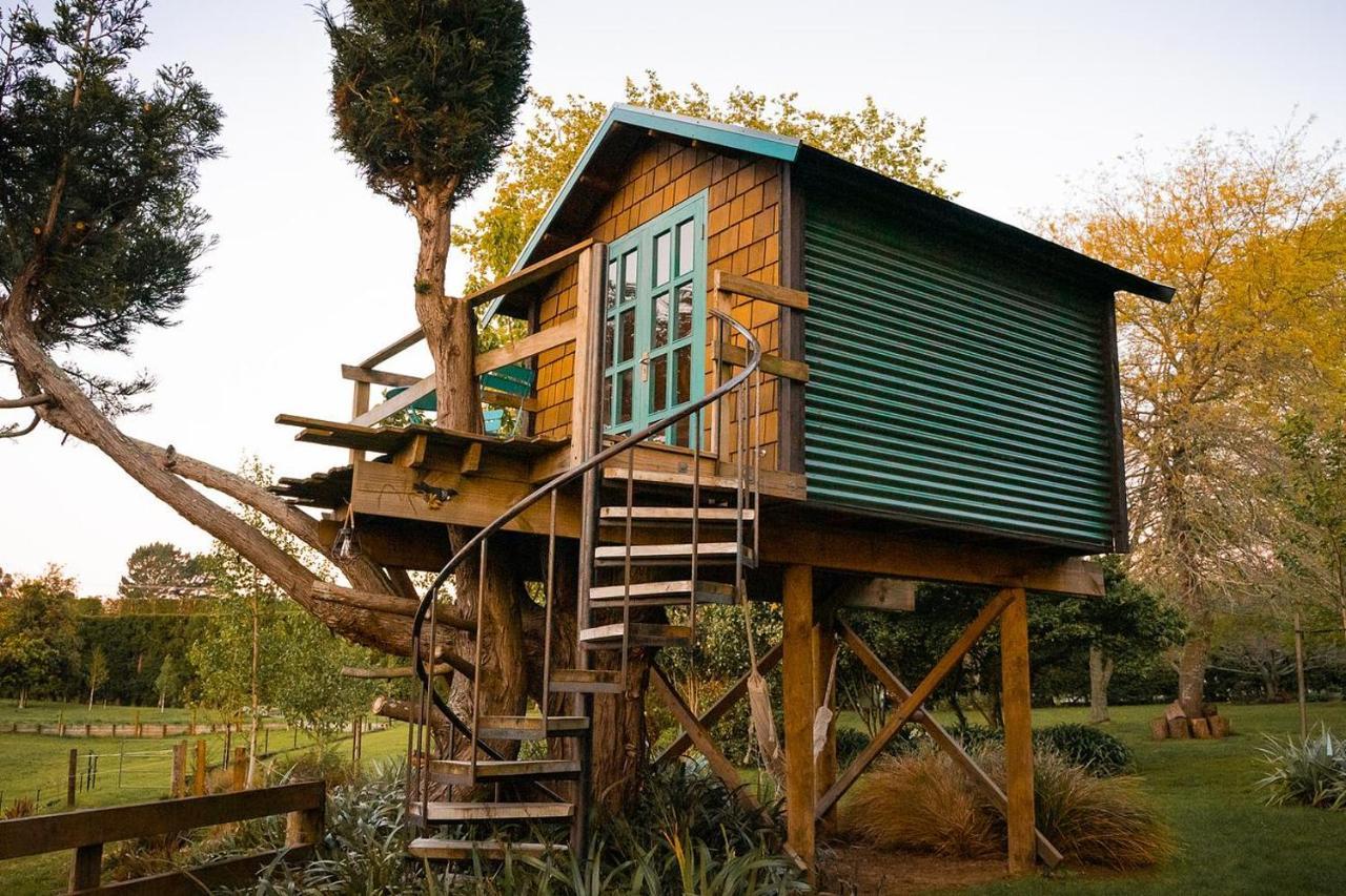 Tui Ridge Eco Cabins Aongatete Esterno foto