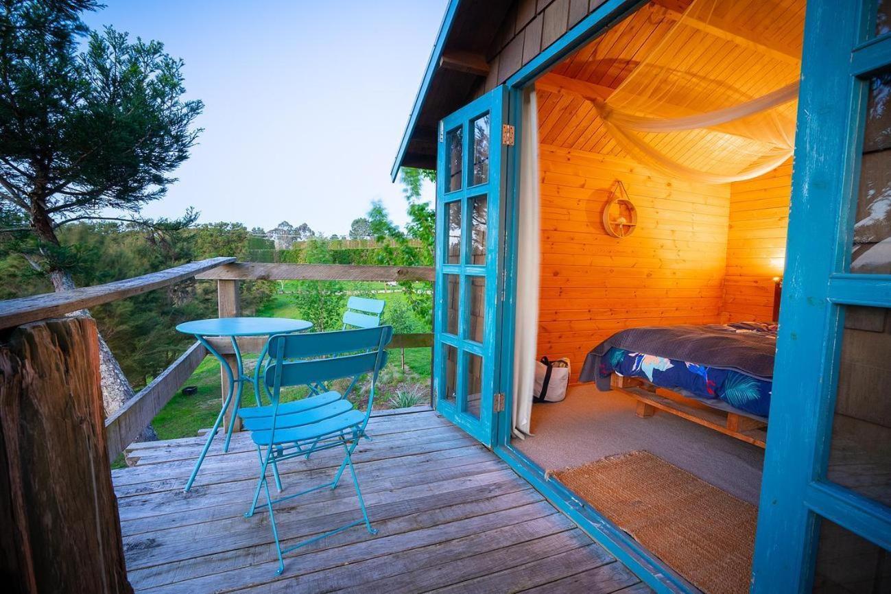 Tui Ridge Eco Cabins Aongatete Esterno foto