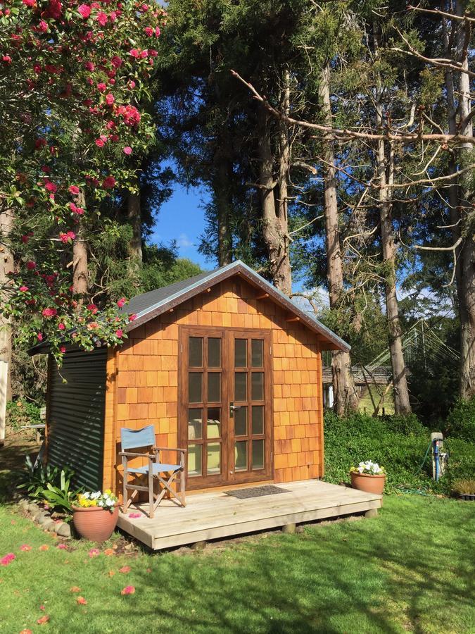 Tui Ridge Eco Cabins Aongatete Esterno foto