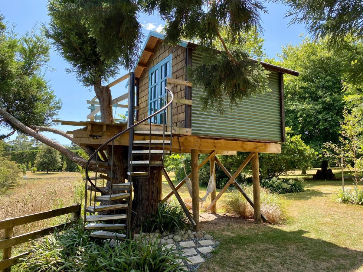 Tui Ridge Eco Cabins Aongatete Esterno foto