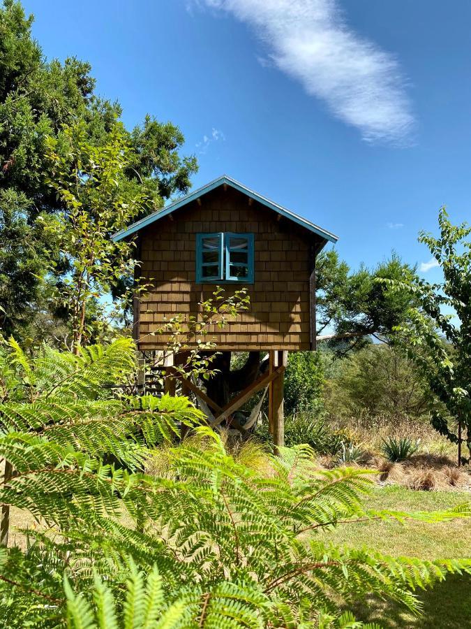 Tui Ridge Eco Cabins Aongatete Esterno foto
