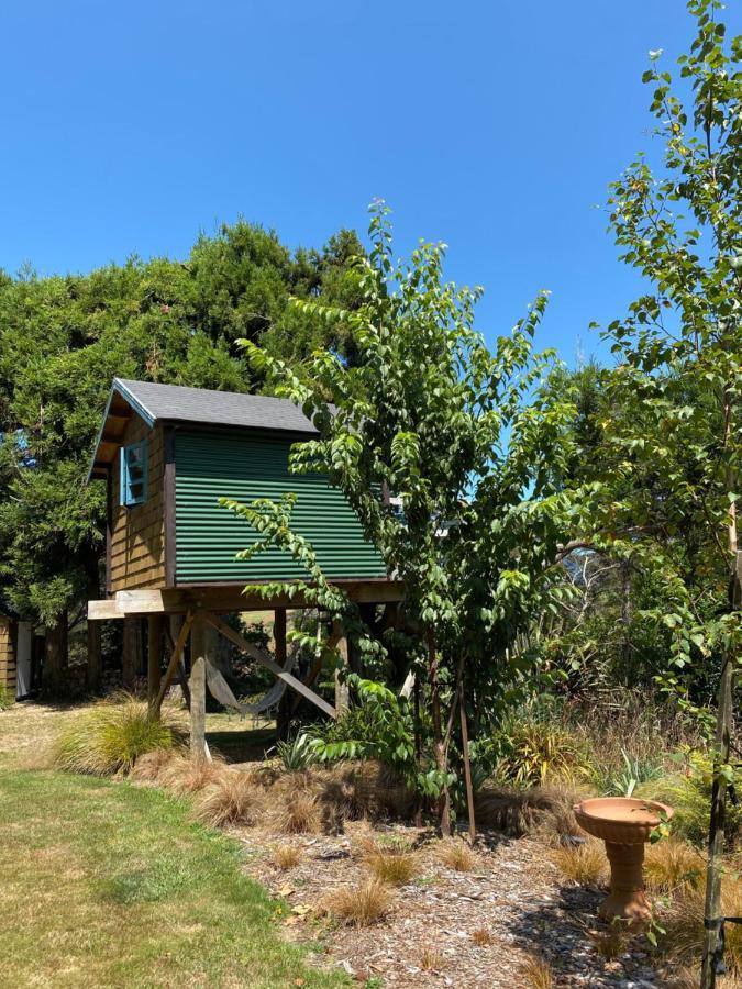 Tui Ridge Eco Cabins Aongatete Esterno foto