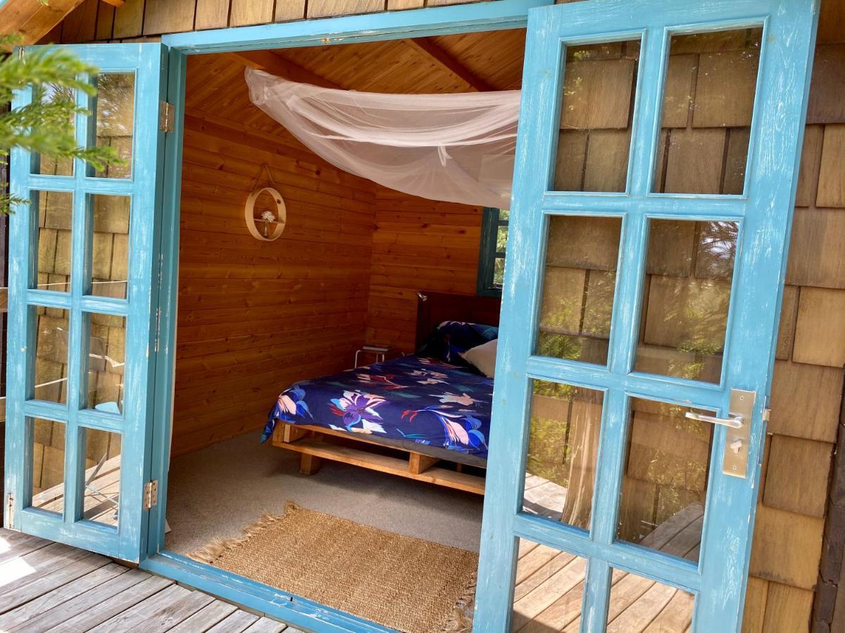 Tui Ridge Eco Cabins Aongatete Esterno foto